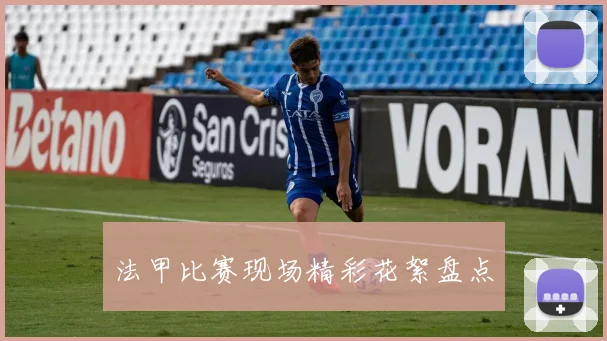 法甲比赛现场精彩花絮盘点