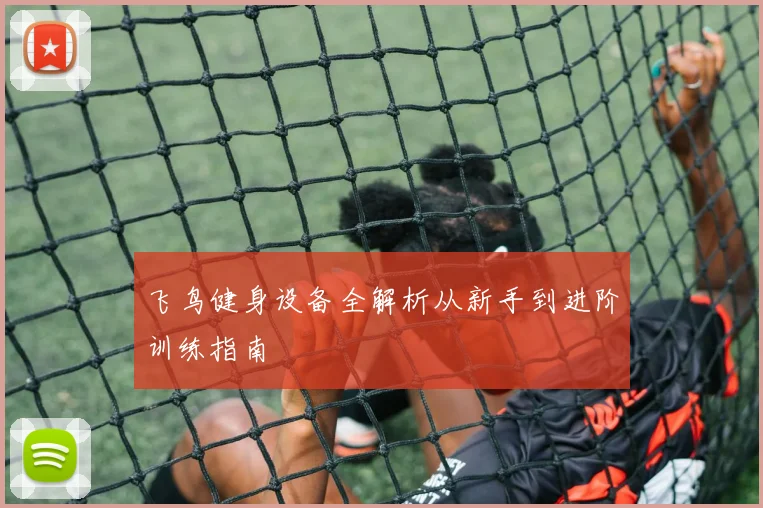 飞鸟健身设备全解析从新手到进阶训练指南
