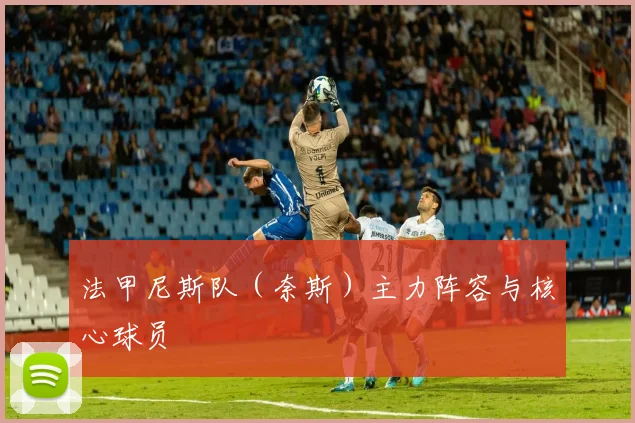 法甲尼斯队（奈斯）主力阵容与核心球员