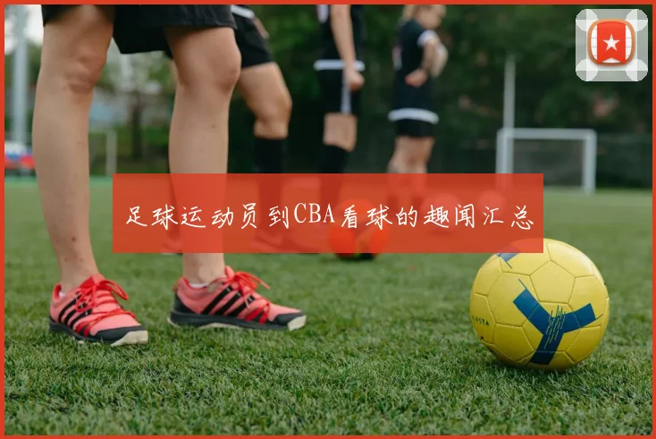足球运动员到CBA看球的趣闻汇总
