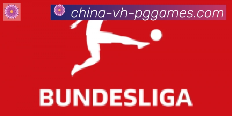 PG模拟器官方网站合作伙伴