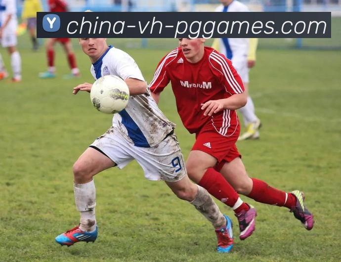 PG模拟器全站App